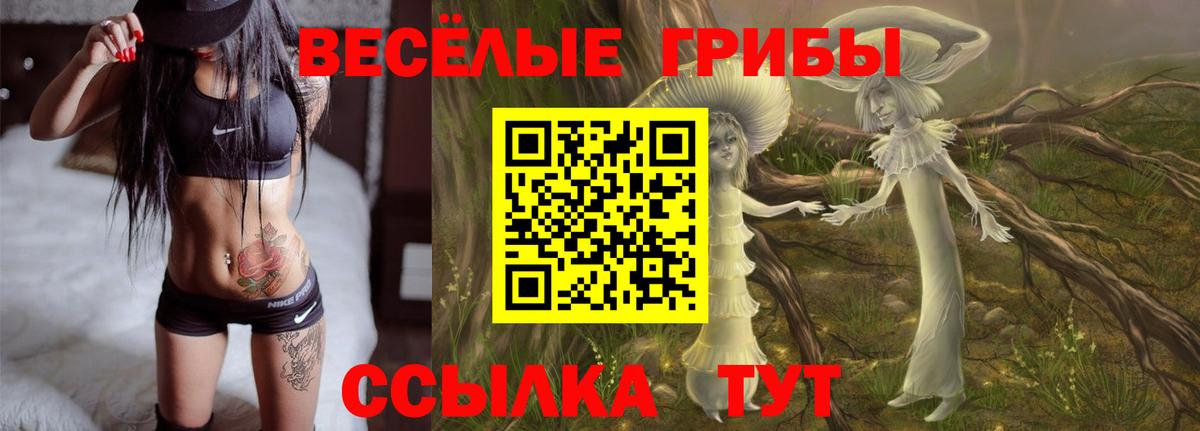 наркошоп  Вход с VPN  Коммунар  Галлюциногенные грибы ЛСД  Псилоцибиновые грибы Cubensis 