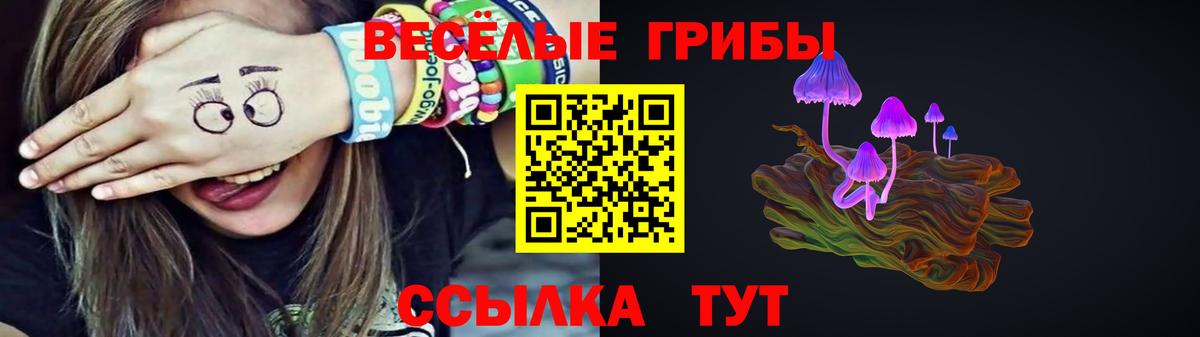 Галлюциногенные грибы мицелий Коммунар